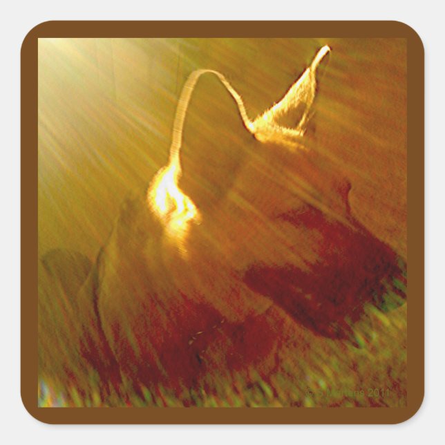 Adesivo Quadrado Vestir-Me German shepherd nº 1 (Frente)