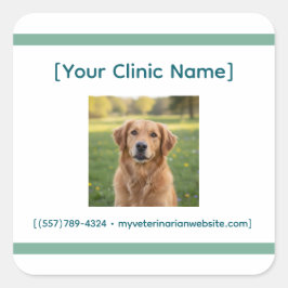 Adesivo Quadrado Veterinarian Office Sticker | Custom Logo