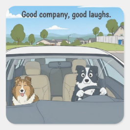 Adesivo Quadrado Viagem de Sheltie e Border collie