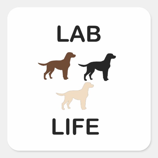 Adesivo Quadrado vida em laboratório todas as cores silhuetas (Frente)