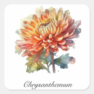 Adesivo Quadrado Vida Herbal: Chrysanthemum personalizável