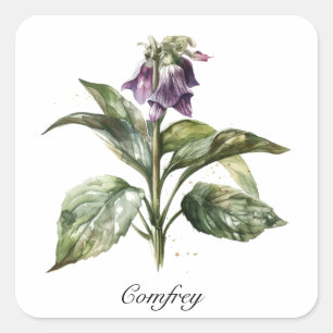 Adesivo Quadrado Vida Herbal: Comfrey personalizável