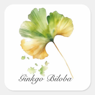 Adesivo Quadrado Vida Herbal: Folha de Ginkgo Biloba personalizável