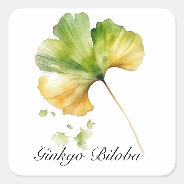 Adesivo Quadrado Vida Herbal: Folha de Ginkgo Biloba personalizável (Frente)