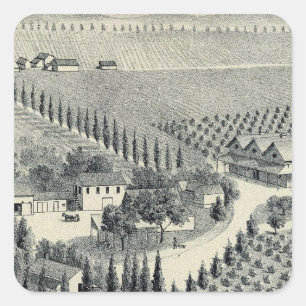 Adesivo Quadrado Vinhedo de Eggers, Fresno