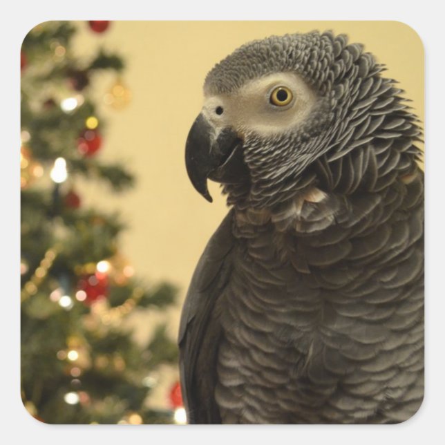 Adesivo Quadrado Vinheiros de Natal de Cenoura (Frente)