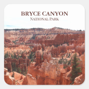 Adesivo Quadrado Vinheiros do Parque Nacional do Bryce Canyon