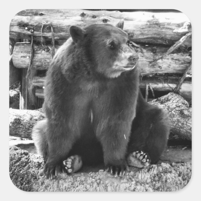 Adesivo Quadrado Vinheta (Frente)