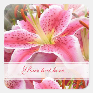 Adesivo Quadrado Vinheta