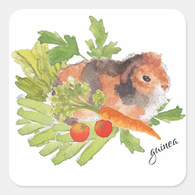 Adesivo Quadrado Vinheta Aquarela De Salada De Cenoura-De-Obra-Colu (Frente)