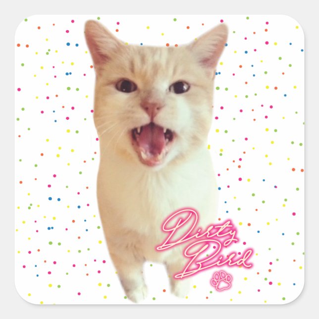 Adesivo Quadrado Vinheta autografada de aves sujas (Frente)