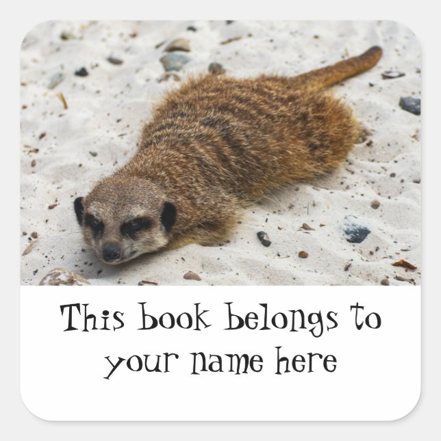 Adesivo Quadrado Vinheta Chillin' Meerkat "Este livro pertence a" (Frente)
