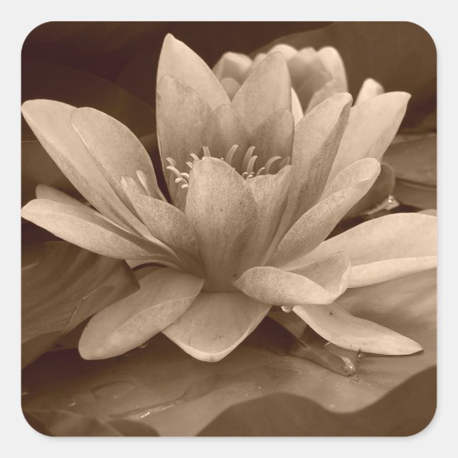 Adesivo Quadrado Vinheta de água (Frente)