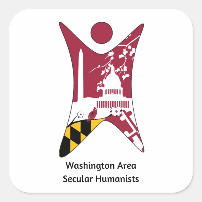 Adesivo Quadrado Vinheta de carro WASH (Frente)