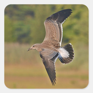 Adesivo Quadrado Vinheta de casco do mar voador