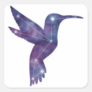 Adesivo Quadrado Vinheta de constelação de Hummingbird