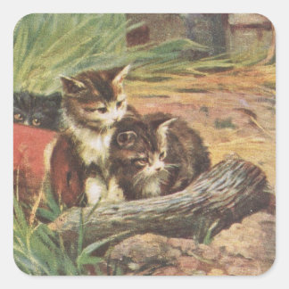 Adesivo Quadrado Vinheta de dois Kittens