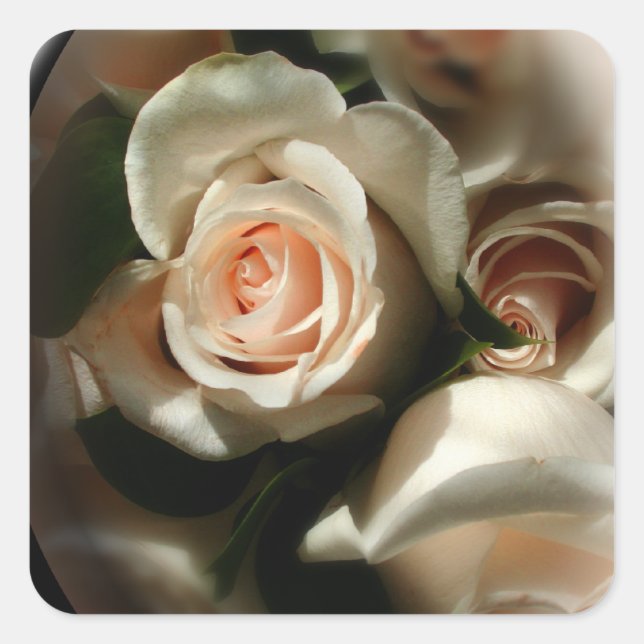 Adesivo Quadrado Vinheta de envelopes de Rosa suave (Frente)