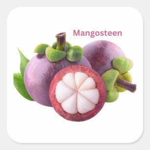 Adesivo Quadrado Vinheta de Fruta Mangosteen