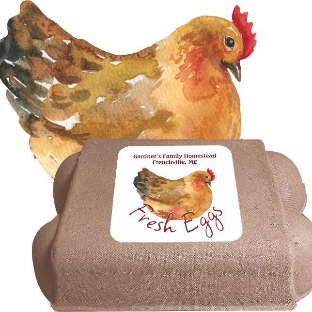 Adesivo Quadrado Vinheta de OVOS FRESCOS com Aquarela (Criador carregado)