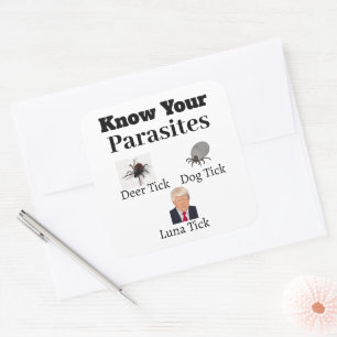 Adesivo Quadrado Vinheta de Parasitas