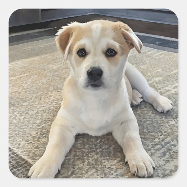 Adesivo Quadrado Vinheta de Sobrecarga da Cuppy Cuteness (Frente)