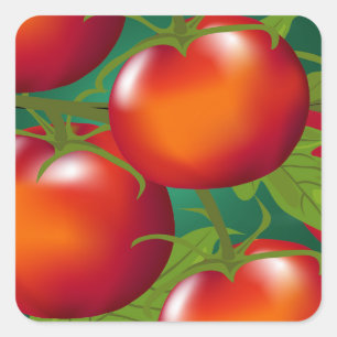 Adesivo Quadrado Vinheta de tomate