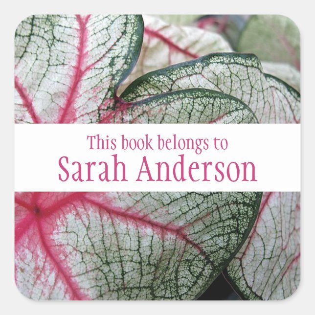 Adesivo Quadrado Vinheta Design de Folha de Caládio (Frente)