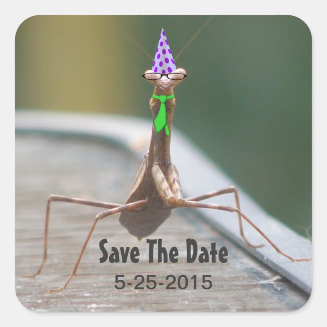 Adesivo Quadrado Vinheta do Inseto do Partido (Frente)