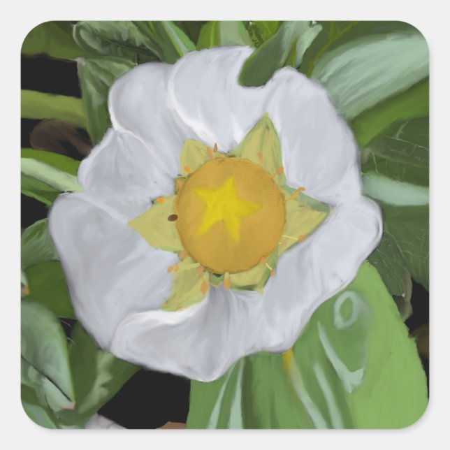 Adesivo Quadrado Vinheta Esquadrão de Florestas de Morango (Frente)