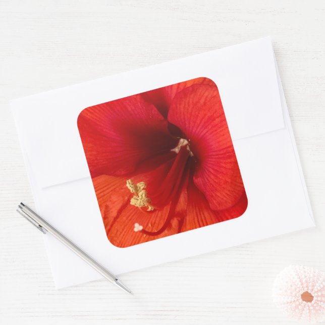 Adesivo Quadrado Vinheta Flor (Envelope)