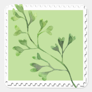 Adesivo Quadrado Vinheta Floral de Fern Fern
