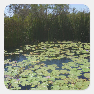 Adesivo Quadrado Vinheta Lily Pads de Saída