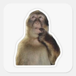 Adesivo Quadrado Vinheta-Memória-Macaco Inocente