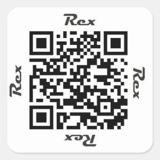Adesivo Quadrado Vinheta NOMES Personalizados Rex QR Code