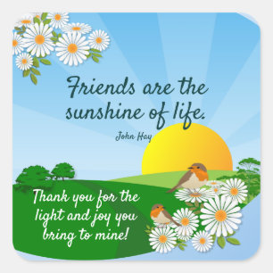 Adesivo Quadrado Vinheta Quadrada de Apreciação de Amizade de Des