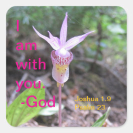 Adesivo Quadrado Vinheta Quadrada de Flor Orquídea Fairyslipper