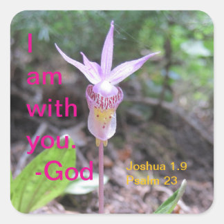 Adesivo Quadrado Vinheta Quadrada de Flor Orquídea Fairyslipper