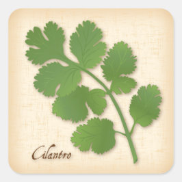 Adesivo Quadrado Vinheta Quadrada de Herbo Cilantro