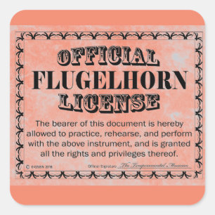 Adesivo Quadrado Vinheta Quadrada de Licença do Plug-Lho