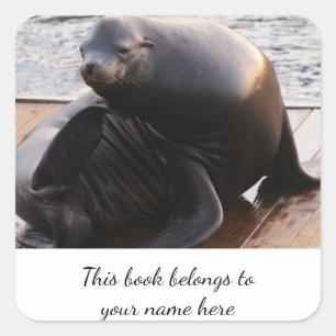 Adesivo Quadrado Vinheta Sea Lion "Este livro pertence a"