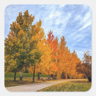 Adesivo Quadrado Vinhetas