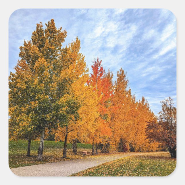 Adesivo Quadrado Vinhetas (Frente)