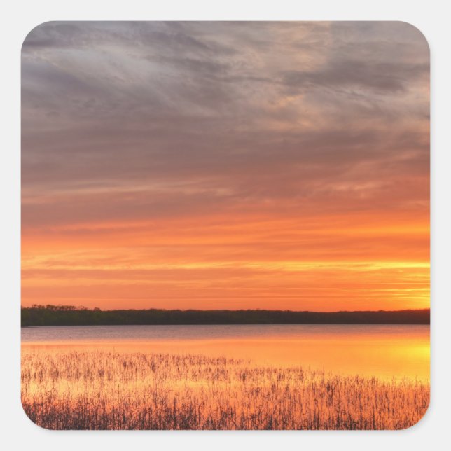 Adesivo Quadrado Vinhetas (Frente)