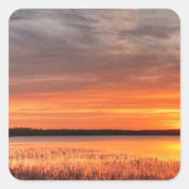 Adesivo Quadrado Vinhetas