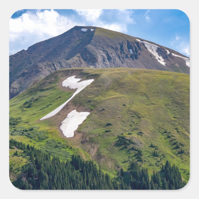 Adesivo Quadrado Vinhetas (Frente)