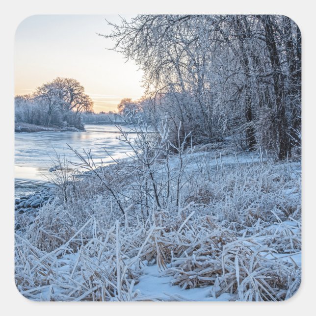 Adesivo Quadrado Vinhetas (Frente)