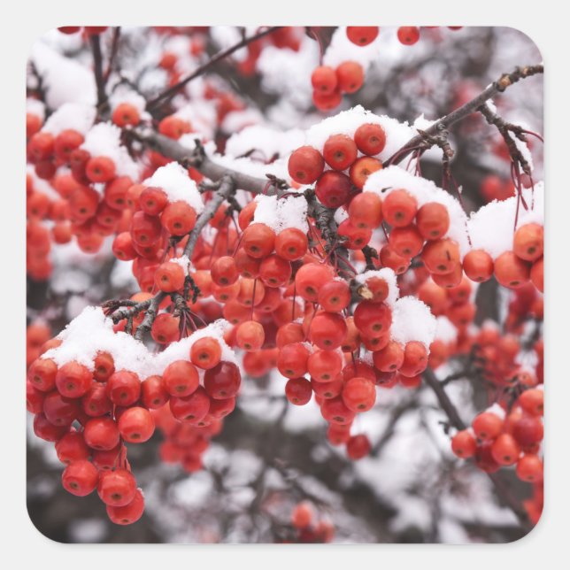 Adesivo Quadrado Vinhetas (Frente)