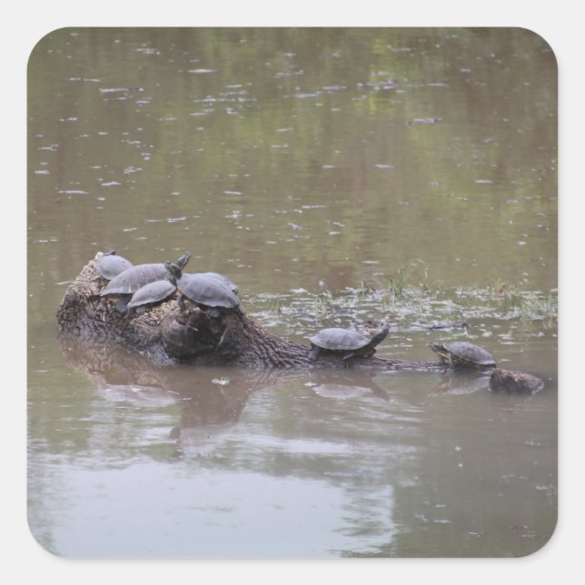 Adesivo Quadrado Vinhetas (Frente)