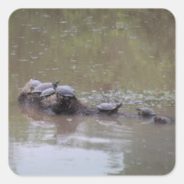 Adesivo Quadrado Vinhetas